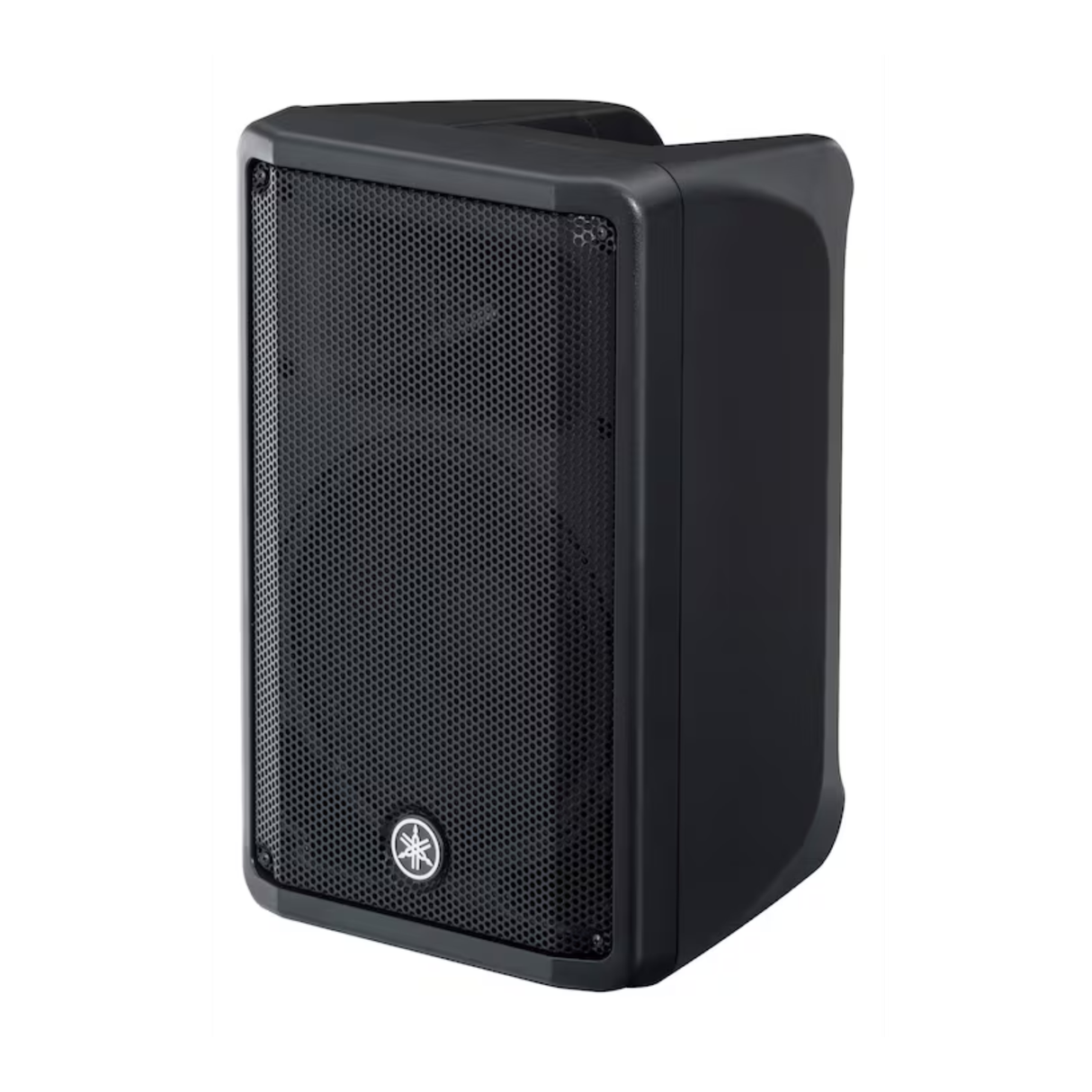 Yamaha CBR10 10" passive PA speaker